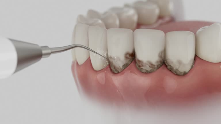 Reliable Dental contractor in St. Paul, MO by Dentist Open Now
